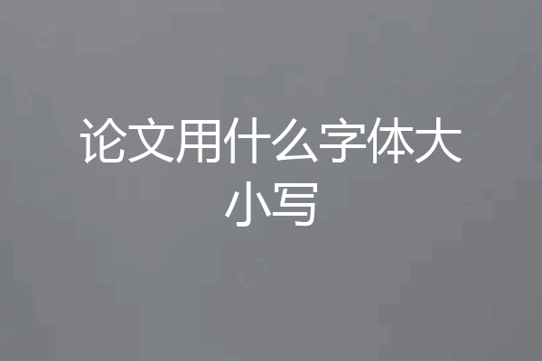 论文用什么字体大小写