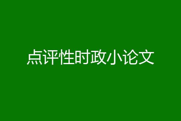 点评性时政小论文