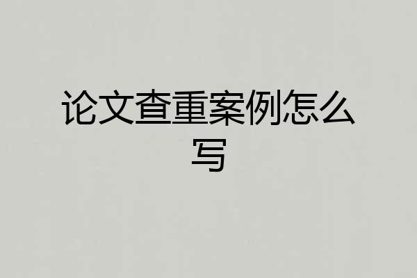 论文查重案例怎么写