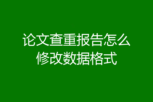 论文查重报告怎么修改数据格式
