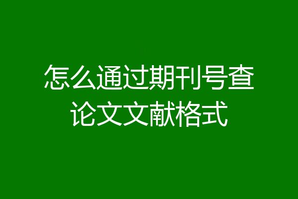 怎么通过期刊号查论文文献格式