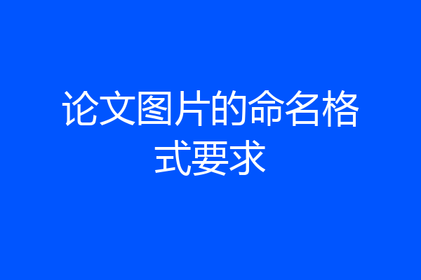论文图片的命名格式要求