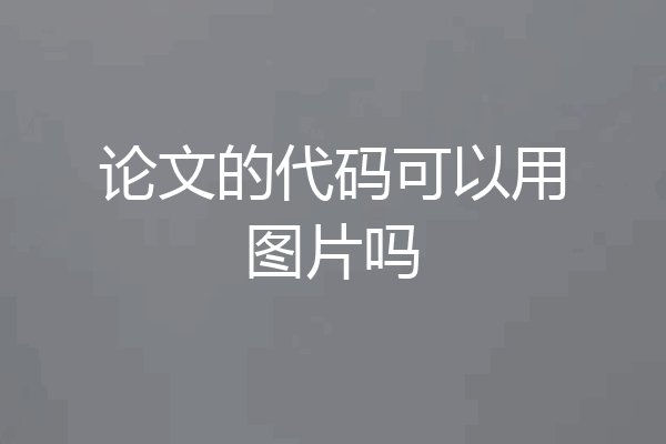 论文的代码可以用图片吗