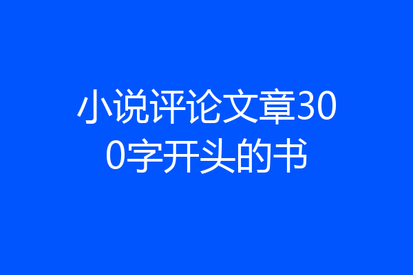 小说评论文章300字开头的书