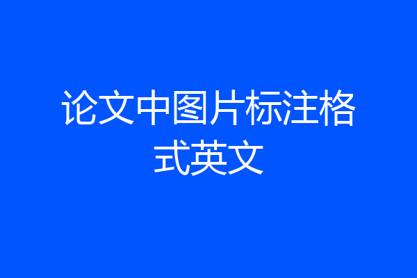论文中图片标注格式英文