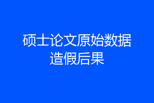 硕士论文原始数据造假后果