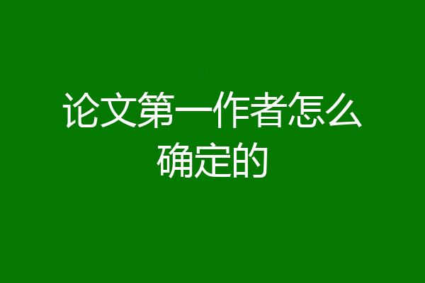 论文第一作者怎么确定的