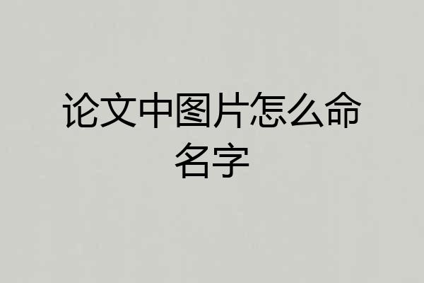 论文中图片怎么命名字
