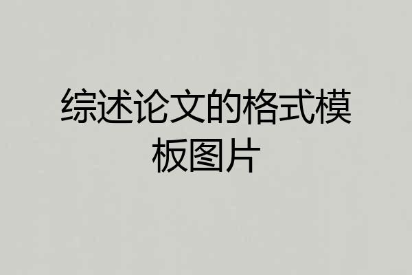 综述论文的格式模板图片