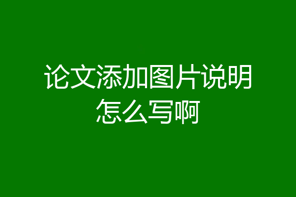 论文添加图片说明怎么写啊