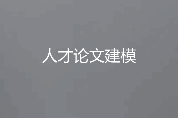 人才论文建模