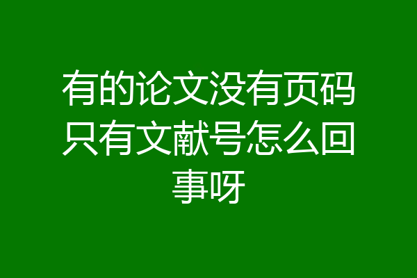 有的论文没有页码只有文献号怎么回事呀