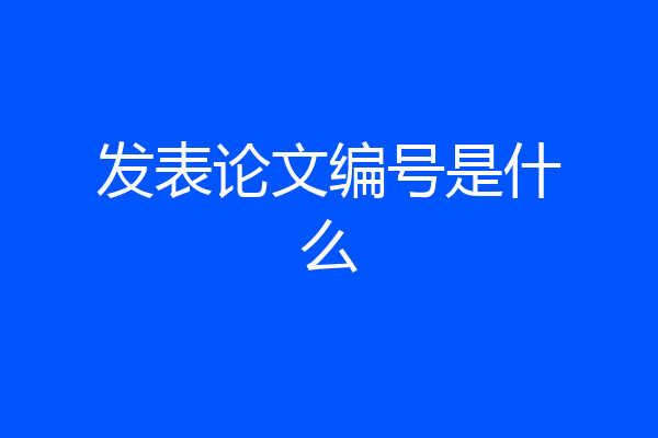 发表论文编号是什么