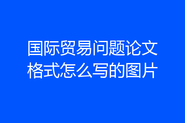 国际贸易问题论文格式怎么写的图片