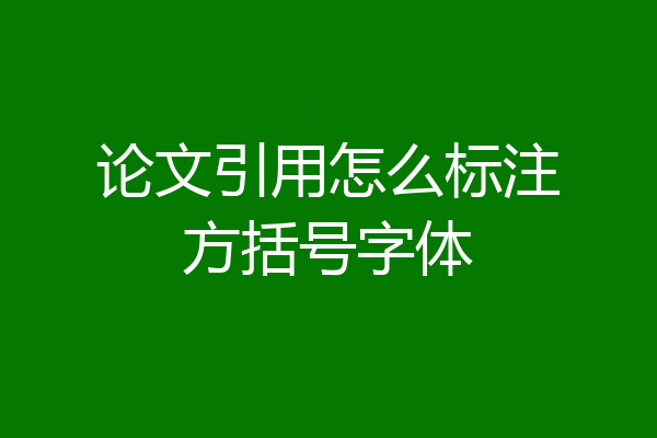 论文引用怎么标注方括号字体