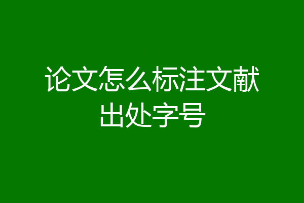 论文怎么标注文献出处字号