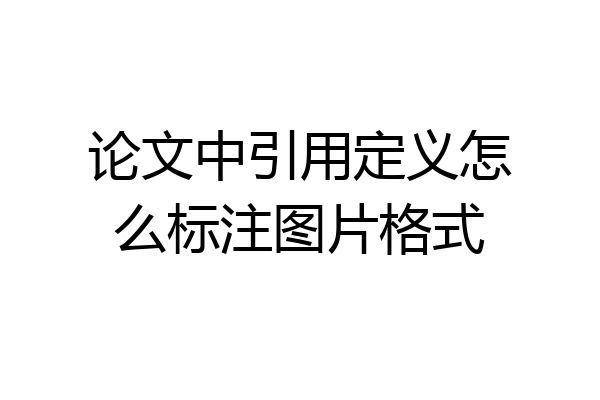 论文中引用定义怎么标注图片格式