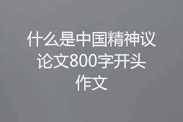 什么是中国精神议论文800字开头作文