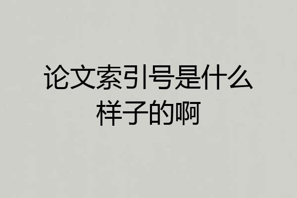 论文索引号是什么样子的啊