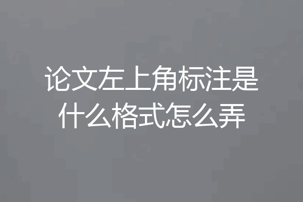 论文左上角标注是什么格式怎么弄