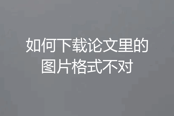 如何下载论文里的图片格式不对
