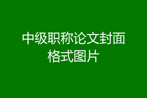 中级职称论文封面格式图片