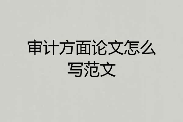 审计方面论文怎么写范文