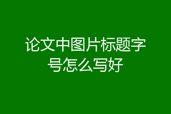 论文中图片标题字号怎么写好