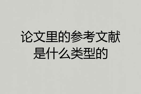 论文里的参考文献是什么类型的