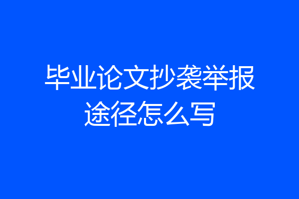 毕业论文抄袭举报途径怎么写