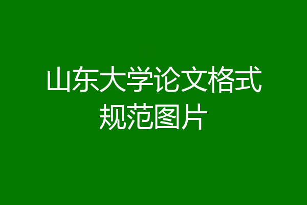山东大学论文格式规范图片