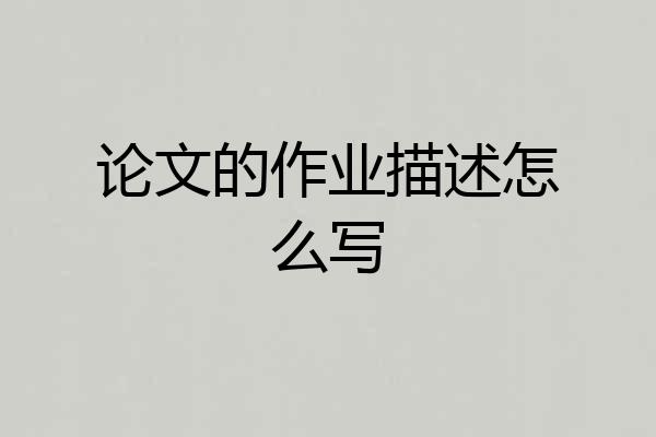 论文的作业描述怎么写
