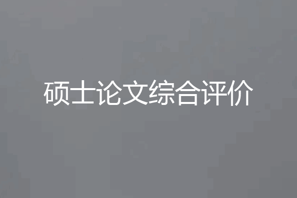 硕士论文综合评价