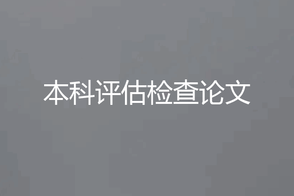 本科评估检查论文