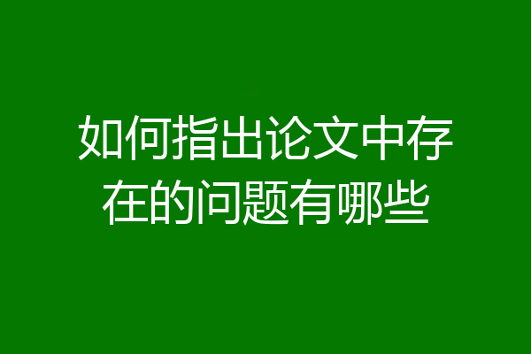 如何指出论文中存在的问题有哪些
