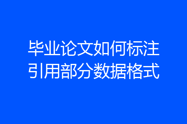 毕业论文如何标注引用部分数据格式