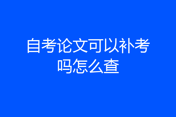 自考论文可以补考吗怎么查