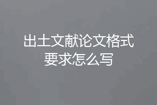 出土文献论文格式要求怎么写