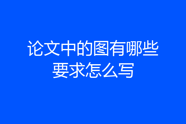 论文中的图有哪些要求怎么写