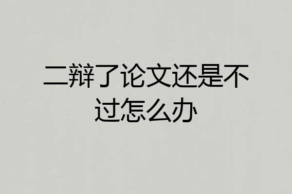 二辩了论文还是不过怎么办