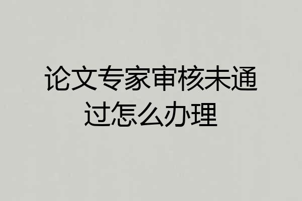 论文专家审核未通过怎么办理
