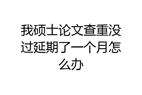 我硕士论文查重没过延期了一个月怎么办