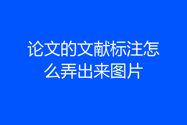 论文的文献标注怎么弄出来图片