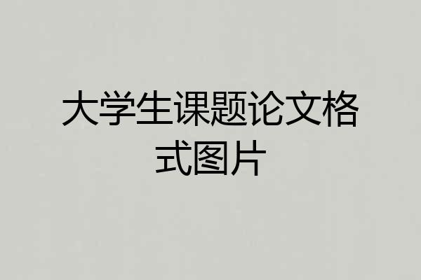 大学生课题论文格式图片