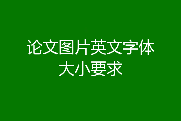 论文图片英文字体大小要求