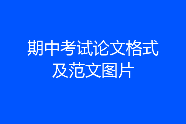 期中考试论文格式及范文图片