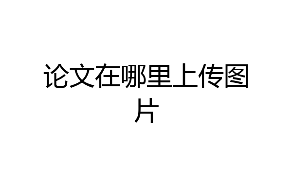 论文在哪里上传图片