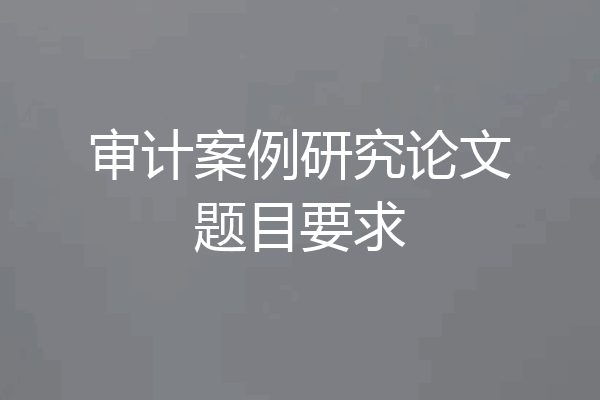 审计案例研究论文题目要求
