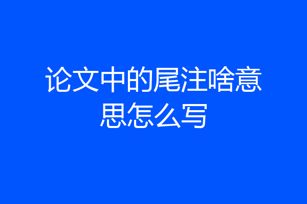 论文中的尾注啥意思怎么写