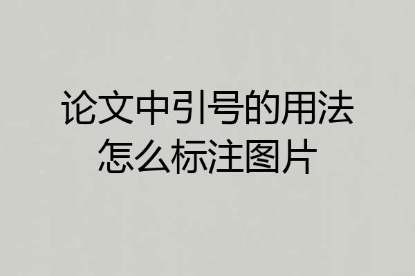 论文中引号的用法怎么标注图片